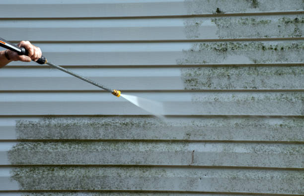 Best Driveway Pressure Washing  in Parkston, SD