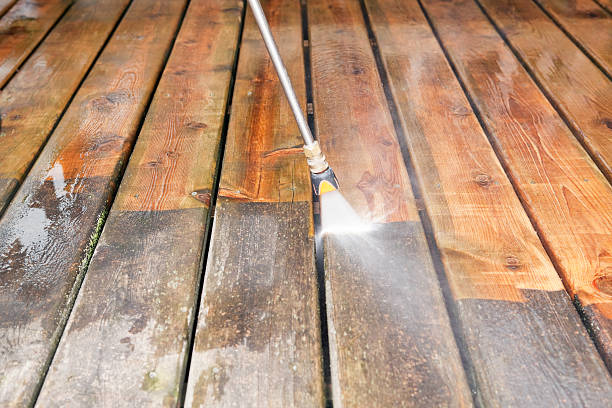 Best Sidewalk and Walkway Cleaning  in Parkston, SD